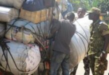 Ndélé : une semaine sans nouvelles de Bilal après son enlèvement par les mercenaires russes, la population exige désormais sa libération Ndélé : une semaine sans nouvelles de Bilal après son enlèvement par les mercenaires russes, la population exige désormais sa libération