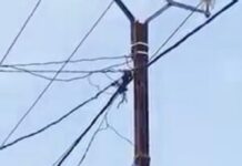 Bangui : Un poteau électrique s’effondre sur l’avenue de Gaulle, faisant un mort et un blessé À quelques mois de sa nomination, le directeur par intérim plonge l’ÉNERCA dans une faillite totale : vol, détournement, corruption, népotisme au quotidien