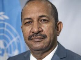 Le coordonnateur de l'OCHA en République centrafricaine, Mohamed AG Ayoya