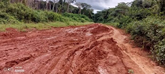 La-route-Carnot-Berberati-dans-la-Mambere-kadei