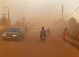 La nouvelle avenue des poussières principales Gobongo-Pk11 sur la route de Damara