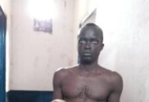 Trafic d’ossements et de sang dans la Sangha-Mbaéré : Joseph Bindoumi accuse l’État de laxisme Trafic d’ossements et de sang dans la Sangha-Mbaéré : Joseph Bindoumi accuse l’État de laxisme