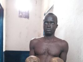 Le suspect interpellé pour le trafic d'organe humain à Bangassou