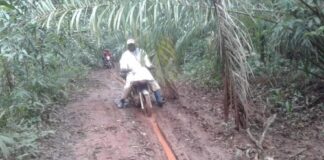 Route Obo - Bambouti