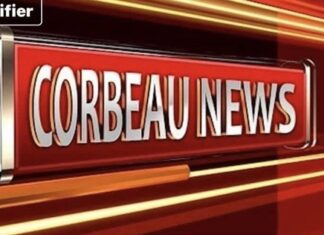 corbeaunews-centrafrique (CNC)