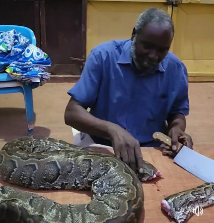 Le ministre conseiller à la Présidence Fidèle Gouandjika décapitant un serpent chez lui 