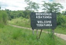 Panneau de bienvenue à l’entrée de Bayanga, sur une route de terre bordée de verdure.