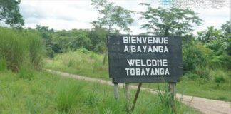 Panneau de bienvenue à l’entrée de Bayanga, sur une route de terre bordée de verdure.