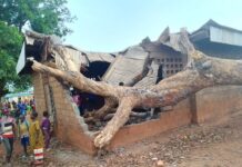 “Déracinement d’arbre causant des dégâts considérables à l’École Baga B. Mixte à Batangafo, avec résidents locaux témoins de l’inciden