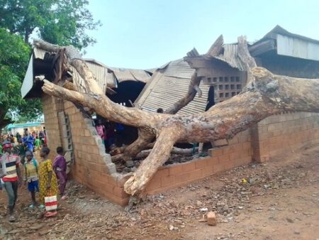 “Déracinement d’arbre causant des dégâts considérables à l’École Baga B. Mixte à Batangafo, avec résidents locaux témoins de l’inciden