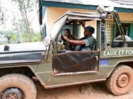 Deux agents des eaux et forêts discutant dans un véhicule tout-terrain boueux marqué de l’insigne de l’Union Européenne dans une zone forestière. Vehicule-tout-terrain-du-ministere-des-eaux-et-foret Vaste opération du déboisement sauvage à Paoua : Complicité du Chef des Eaux et Forêts