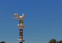 Un monument avec une sculpture de colombe blanche surmontant un pilier orné de bandes colorées, situé dans la ville de Paoua.