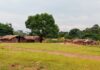 Vue du village de Zoundombo, près de Boda, en République centrafricaine, avec une église évangélique et des maisons en arrière-plan.