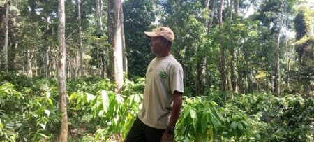 Un cultivateur de cacao se tenant debout dans une plantation verdoyante à Bilolo