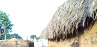 Un chemin étroit bloqué par des structures de chaume à Cantonnier, Centrafrique.