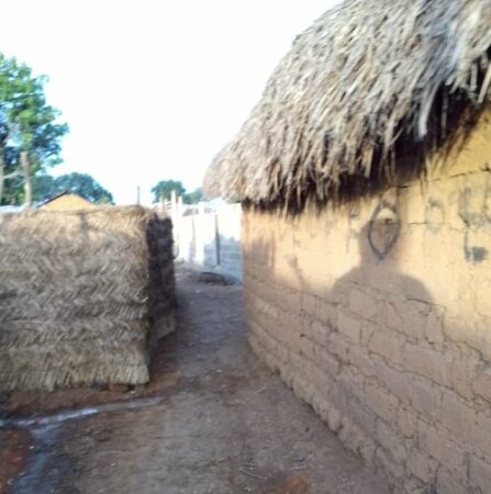 Un chemin étroit bloqué par des structures de chaume à Cantonnier, Centrafrique.