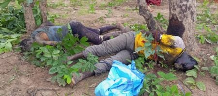 Deux corps en décomposition allongés au pied d’un arbre, partiellement couverts de végétation, l’un portant un t-shirt bleu et l’autre un t-shirt jaune.