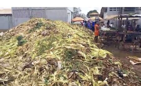 Tas de déchets organiques au marché de Bimbo, à la périphérie de Bangui.
