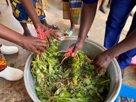 Mains de femmes nettoyant des légumes lors d’un atelier culinaire à Bossangoa, organisé par MSF.