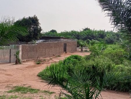 Rue de terre bordée de végétation et d'une clôture en béton dans Le quartier Cité Espoir, également connu sous le nom de Gborota, dans le 10ème arrondissement de Bangui