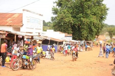 La flambée des prix du manioc inquiète à Bozoum