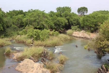 À Pont de l'Ouham, dans la localité de Bozoum, L'Ouham-Pendé, illustrant l'article de Bozoum : Les parents d'élèves de Pont Ouham s'organisent pour soutenir leur école