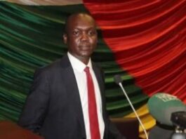 La 7ème République commence par un hold-up constitutionnel : le dictateur de Bangui va-t-il encore nommer des chefs de groupes armés ?