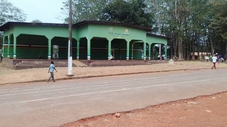 Fiasco de Kwa Ti Kodro à Bambari : Quand les 5 milliards s'évaporent dans les herbes folles