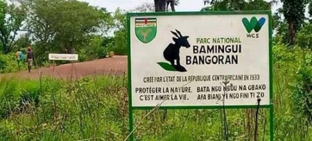 Tensions croissantes à Bamingui-Bangoran : Le licenciement des surveillants-pisteurs par WCS fait redouter l'apparition d'un nouveau groupe armé dans le nord