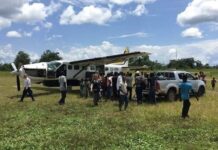 Un chef du village de Bayanga, accusé de braconnage, est transféré à la prison du camp de Roux à Bangui Un chef du village de Bayanga, accusé de braconnage, est transféré à la prison du camp de Roux à Bangui