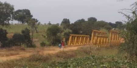 Centrafrique : Un hippopotame sème la terreur dans le village de Mbere