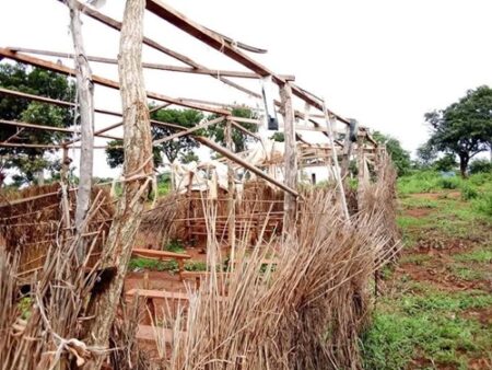 Centrafrique : comment l’État condamne la jeunesse des villages du secteur Pama à l'analphabétisme total