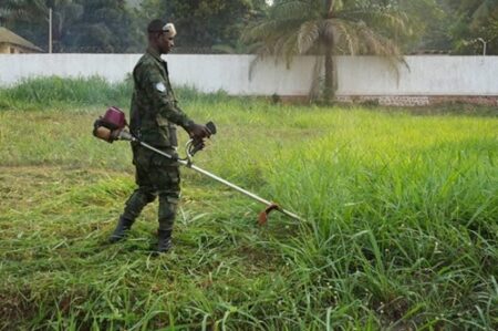 Un soldat rwandais utilisant une débroussailleuse dans le palais de la renaissance centrafricain entouré de végétation et d'un mur blanc avec un palmier en arrière-plan"