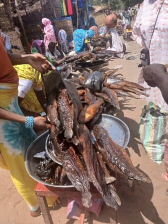 Birao asphyxiée : crise du logement et explosion des prix. Corbeaunews - Centrafrique, et la préfecture de la Vakaga