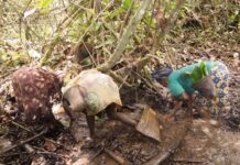 Bayanga : la pêche traditionnelle au barrage dans le viseur des autorités forestières Bayanga : la pêche traditionnelle au barrage dans le viseur des autorités forestières