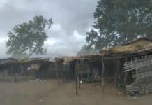 Un vent violent sème le chaos à Boromata et secoue la Vakaga : la population en détresse Un vent violent sème le chaos à Boromata et secoue la Vakaga : la population en détresse