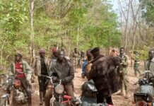 30 000 soldats pour quelle armée ? Balalou confond quantité et efficacité militaire Centrafrique : à Sam-Ouandja, un soldat FACA, Samuel Kokassimba, viol une fillette de 13 ans, et la gendarmerie se déclare impuissante pour gérer l’affaire