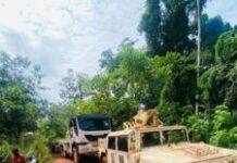 Centrafrique : accident sur la route de Boda, des fidèles de l’Église Baptiste échappent au pire à 25 km de la ville Centrafrique : une vague d’accidents dramatiques frappe le pays en une semaine, près de 50 morts
