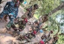 Les voyous du MPC adressent leurs louanges au dictateur de Bangui, Baba Kongoboro Les voyous du MPC adressent leurs louanges au dictateur de Bangui, Baba Kongoboro