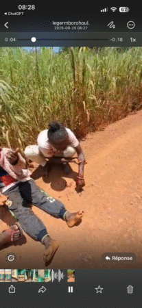 Les blessés de l'accident du car horizon à Bossembélé ce jeudi 25 septembre 2025. Photo CNC