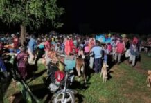 Centrafrique : Birao et Amdafock plongées dans la psychose d’une offensive rebelle Centrafrique : Birao et Amdafock plongées dans la psychose d'une offensive rebelle
