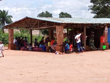 Dans le Haut-Mbomou, l'intervention de l'ONG Alima pour des soins médicaux