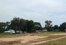 Sam-Ouandja : quand les gendarmes deviennent pires que les rebelles Sam-Ouandja : quand les gendarmes deviennent pires que les rebelles