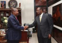 CENTRAFRIQUE : LA PROBLÉMATIQUE POLITICO-JURIDIQUE DE L’INTERPRÉTATION ET DE L’APPLICATION DE LA NOTION DE BINATIONALITÉ CONSACRÉE PAR LA CONSTITUTION. Centrafrique : pourquoi le journaliste de France 24 qualifie publiquement Dologuélé « d’idiot utile de Touadéra »?