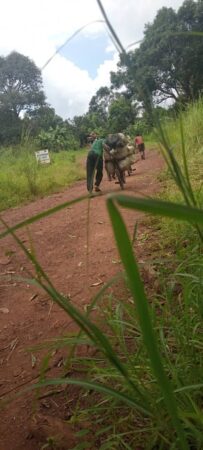 Reportage entre Obo et Bambouti : quand 110 kilomètres d'enfer devienenent un calvaire pour les voyageurs
