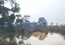 Empoisonnement collectif des coopératives minières chinoises à Zoué, Donmbourou, Quand Bangui, Carrefour et Gbabé Empoisonnement collectif des coopératives minières chinoises à Zoué, Donmbourou, Quand Bangui, Carrefour et Gbabé