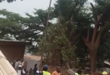 Bangui, huitième arrondissement, nouvel accident de circulation, nouvelle victime Accidents routiers : hécatombe quotidienne en RCA, et le directeur de la Sécurité routière avoue : « Nous n’avons ni véhicules, ni budget, ni spécialistes »… Pathétique !