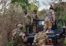 Nous n’avons plus rien de militaire sur nous » : Le capitaine du détachement d’Amdafock réclame l’évacuation de ses troupes vers Birao puis Bangui Nous n'avons plus rien de militaire sur nous » : Le capitaine du détachement d'Amdafock réclame l'évacuation de ses troupes vers Birao puis Bangui