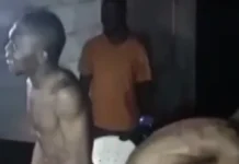 Barbarie à ciel ouvert : la Centrafrique sombre dans la folie collective Barbarie à ciel ouvert : la Centrafrique sombre dans la folie collective