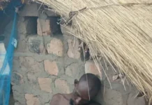 Manque de professionnalisme : comment l’erreur d’un soldat FACA a failli provoquer un carnage à Markounda Le suspect abattu par les soldats FACA à Markounda